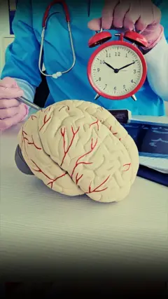 мозок і вік