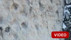 இத்தாலியில் ஆயிரக்கணக்கான டைனோசர் கால்தடங்கள் கண்டுபிடிப்பு