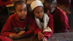 ተማሪዎች በአንድ መቀመጫ ላይ ተቀምጠው