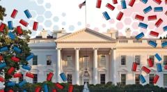 Maison Blanche USA