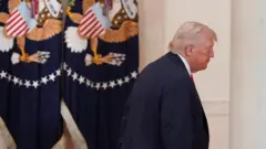 Image shows Donald Trump