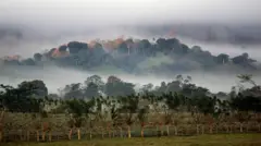 Alam, lingkungan, air