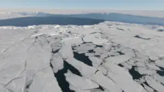 Broken sea ice
