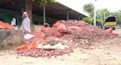 ఉల్లి పాయలు, రైతులు, కర్నూల్ వ్యవసాయ మార్కెట్, ఉల్లి ధరలు