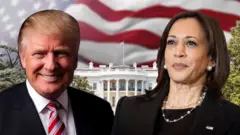trump vs Harris