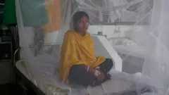 জুন মাসের তুলনায় জুলাই মাসে সাতগুণ ডেঙ্গু রোগী বেড়েছে