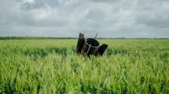 Tarlanın ortasına bir füze düşmüş, yemyeşil alanda toprağa saplanmış durumda.
