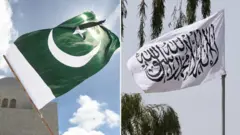 د پاکستان او افغانستان کې د طالبانو د حکومتونو بیرغونه