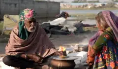 घुमंतु प्रजाति