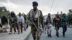 የትግራይ ኃይሎች 