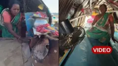 ‘આ જ અમારું ઘર છે…’ કાયમ હોડીમાં રહેતા પરિવારોની કહાણી