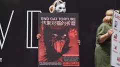 Manifestante segura cartaz contra a tortura de gatos