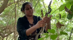 ஆறாயிரத்திற்கும் மேற்பட்ட பாம்புகளை மீட்ட 24 வயது பட்டதாரி பெண்