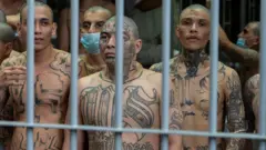 Pandilleros de la MS-13 presos en el Centro de Confinamiento del Terrorismo (CECOT), en Tecoluca, San Vicente, El Salvador, el 26 de marzo de 2025. Foto: Alex Brandon-Pool/Getty Images.