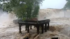 தென் மாவட்டங்களில் கன மழை