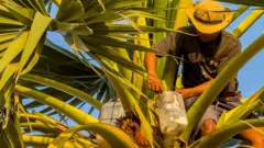 கள், மது, ஆல்கஹால், தமிழ்நாடு, போதைப் பொருள், உணவு
