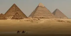 مصر