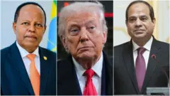 ፕ/ት ታዬ፣ ፕ/ት ትራምፕ እና ፕ/ት አል ሲሲ