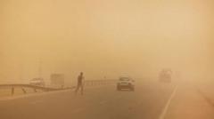 Kí ló ṣokùnfà tí kò fi sí ọyẹ́ lásìkò yìí?