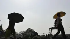 চুয়াডাঙ্গায় বেশ কয়েক দিন ধরেই চলছে সর্বোচ্চ তাপমাত্রা
