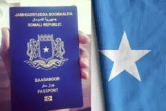 Baasaboor Somali 