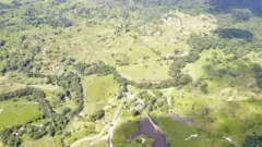 Vista aérea de corredores verdes que conectan fragmentos de hábitat