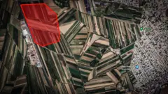 Оштогу борбордук базар ушул жерге көчүрүлөт деп айтылууда