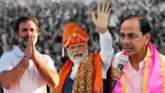 निवडणुका 