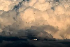 Pássaros voam perto de uma aeronave da companhia aérea alemã Lufthansa em meio ao céu nublado