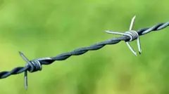 বাংলাদেশি দুই কৃষককে ধরে নিয়ে গেছে বিএসএফ