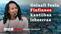 Kantiibaa Magaalaa Finfinnee, Aadde Daanech Abeebee