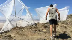 प्रातिनिधिक फोटो