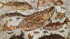 மின்சார மீன்கள்