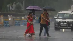 पाऊस