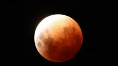 Полнолуние