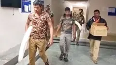 விருதுநகர் மாவட்டம் ராஜபாளையத்தில் யானைத் தந்தம் விற்பனை