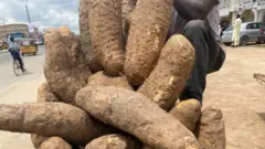 Yam