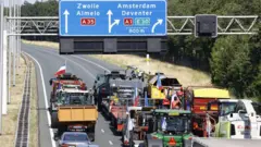 Hollanda çiftçi eylemi