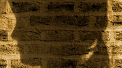 tuğla duvar üzerine yansımış uzun saçlı ve at kuyruklu bir kız çocuğu gölgesi 