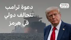 ترامب يطالب بحماية مضيق هرمز ويدعو لإرسال سفن حربية.. فكيف ردت الدول على مطالبه؟