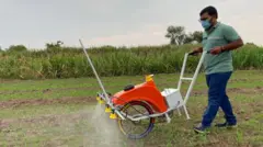 બીબીસી ગુજરાતી