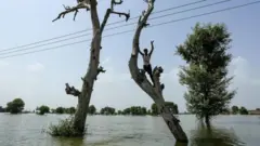 Ilaa 900 oo qof ayaa ku dhintay daadadka ku dhuftay Pakistan