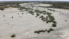 کمبود آب دولت عراق را مجبور کرده سطح زمین‌های زیر کشت را کاهش دهد