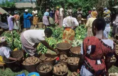 marché de produits locaux au Cameroun