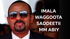 Bulchiinsi waggoota saddeetii MM Abiy yeroo xiinxalamu