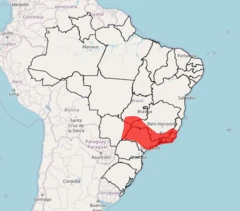 Mapa do Inmet mostra região com alerta emitido de "grande perigo" devido à onda de calor