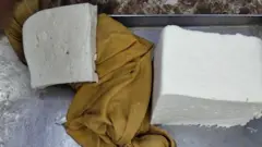 एनालॉग पनीर
