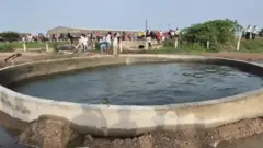 GujaratWell