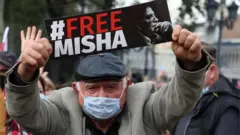 Тбилиси, митинг