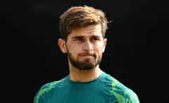 shaheen